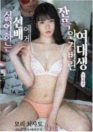 补番顺序指南配图